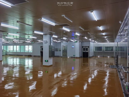 科技賦能 現(xiàn)代化罐頭食品生產(chǎn)凈化車(chē)間設(shè)計(jì)新理念與實(shí)踐